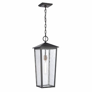 Lilliput Road - 1 Light Outdoor Hanging Lantern In Farmhouse Style-22 Inches Tall and 9 Inches Wide - 1285058