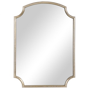 Mirror-27.5 Inches Tall and 19.75 Inches Wide - 1326212