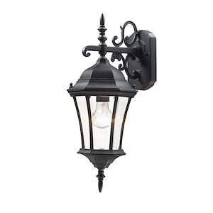 Borrowdale Head - 1 Light Outdoor Wall Mount in Fusion Style - 8 Inches Wide by 21.75 Inches High