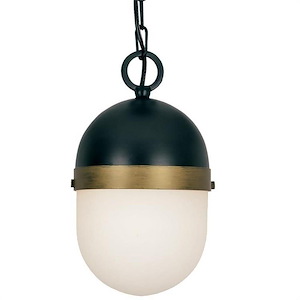 Nut Lane - One Light Outdoor Pendant in Minimalist Style - 6 Inches Wide by 11 Inches High