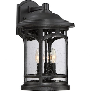 Ingleby Pastures 17.75 Inch Outdoor Wall Lantern Transitional