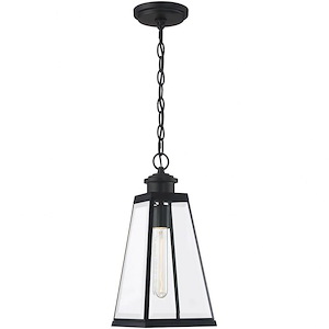 Crib Close - 1 Light Outdoor Hanging Lantern - 1246215