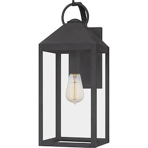 Witch Elm - 1 Light Large Outdoor Wall Lantern - 1246797
