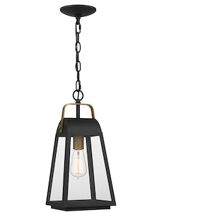 Dragonfly Road - 1 Light Mini Pendant In Transitional Style-16.5 Inches Tall and 7.5 Inches Wide - 1246962