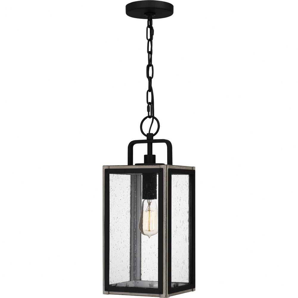 Bailey Street Home 71-BEL-4621617 Flint Birches - 1 Light Outdoor Hanging Lantern In Transitional Style-18.5 Inches Tall and 7.5 Inches Wide made with Coastal Armour
