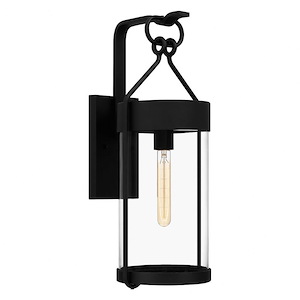 Suffolk Beeches - 1 Light Outdoor Wall Lantern In Modern Style-22.5 Inches Tall and 9 Inches Wide made with Coastal Armour
