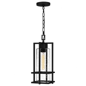 Bernard Paddock - 1 Light Outdoor Hanging Lantern In Transitional Style-17.25 Inches Tall and 7.5 Inches Wide made with Coastal Armour
