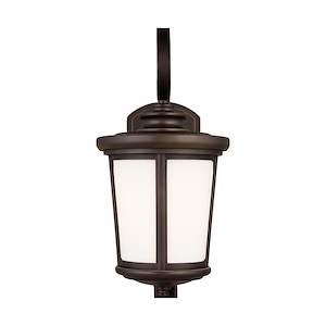 Snakelake Hill - 9.3W 1 LED Medium Outdoor Wall Lantern - 8 inches wide by 16.13 inches high