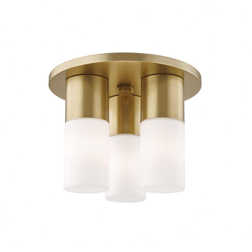 Bailey Street Home 735-BEL-2941757 Belmont Gardens-12W 3 LED Flush Mount in Style-9.25 Inches Wide by 7 Inches High