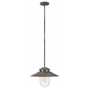 Argyle Glas - 1 Light Medium Outdoor Hanging Lantern in Traditional-Industrial Style - 14.5 Inches Wide by 11 Inches High