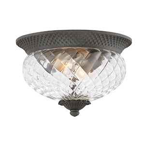 Meadows Garth - 2 Light Outdoor Small Flush Mount in Traditional-Glam Style - 12 Inches Wide by 8 Inches High - 1251515