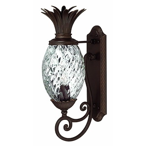 Meadows Garth - 1 Light Small Outdoor Wall Lantern in Traditional-Glam Style - 8 Inches Wide by 22 Inches High - 1252559