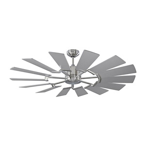 Prairie 52 - 14 Blade 52 Inch Ceiling Fan with Handheld Control and Includes Light Kit in Style - 52 Inches Wide by 14.13 Inches High - 996717