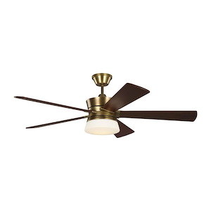 5 Blade 56 Inch Ceiling Fan with Light Kit