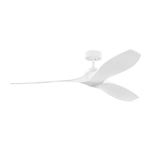 Franklin Hill - 3 Blade Ceiling Fan With Remote Control In Modern Style-11.8 Inches Tall and 60 Inches Wide
