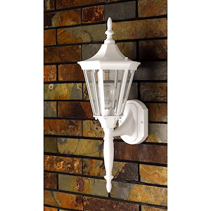 1 Light Outdoor Wall Lantern-22.5 Inches Tall and 8 Inches Wide