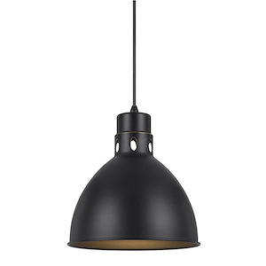 Webster-One Light Pendant-10 Inches Wide by 72 Inches High
