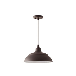 RLM - 14 Inch 1 Light Outdoor Hanging Warehouse Pendant Rain or Shine made for Coastal Environments