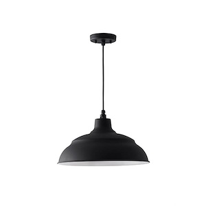 RLM - 16.75 Inch 1 Light Outdoor Hanging Warehouse Pendant Rain or Shine made for Coastal Environments