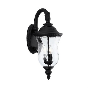 Ashford - 24.75 Inch 3 Light Top Arm Outdoor Wall Mount - in Transitional style Rain or Shine made for Coastal Environments - 1001296