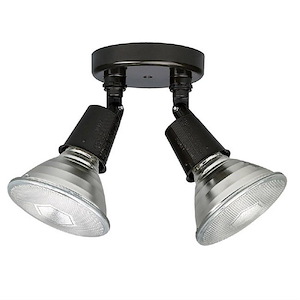 2 Light Outdoor Floodlight - in Traditional style - 6 high by 5 wide