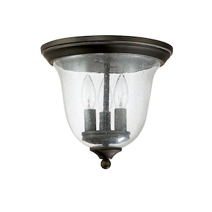 10 Inch 3 Light Outdoor Flush Mount - in Transitional style - 11 high by 10 wide