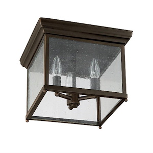 12 Inch 3 Light Outdoor Flush Mount - in Transitional style - 12 high by 8.5 wide
