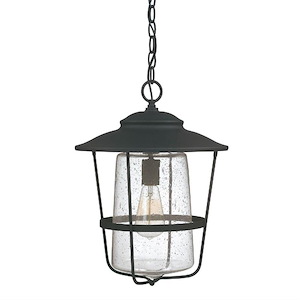 Creekside - 1 Light Outdoor Hanging Lantern - in Urban/Industrial style - 13 high by 17.5 wide