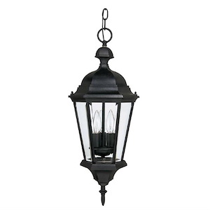 Carriage House - 3 Light Outdoor Hanging Lantern - in Traditional style - 10 high by 23 wide