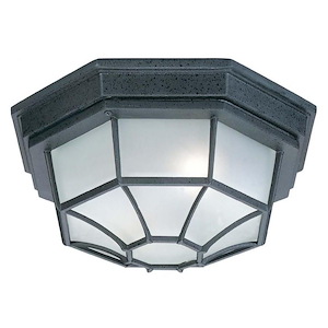 11 Inch 2 Light Outdoor Flush Mount - in Urban/Industrial style - 11 high by 6 wide
