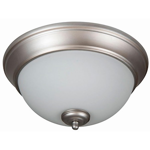 Pro Builder - Two Light Flushmount - 11 inches wide by 5.5 inches high