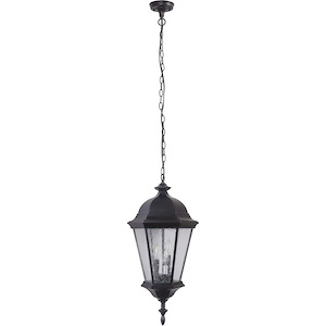 Chadwick - 1 Light Outdoor Pendant In Traditional Style-19.78 Inches Tall and 9.41 Inches Wide