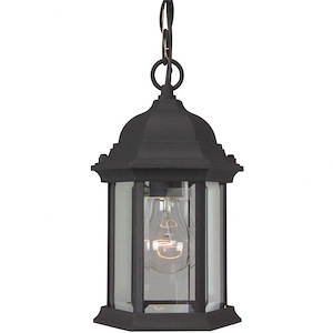1 Light Outdoor Pendant In Traditional Style-11 Inches Tall and 6.5 Inches Wide