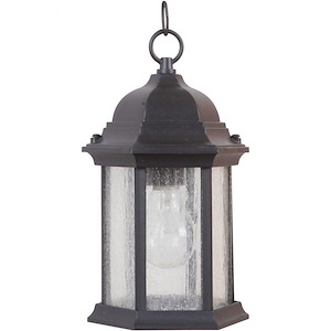 Hex - 1 Light Outdoor Pendant In Traditional Style-11 Inches Tall and 6.5 Inches Wide - 1216177