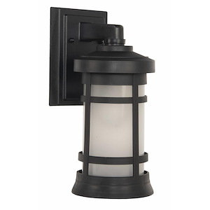 Outdoor Wall Lantern Transitional Polymer Approved for Wet Locations in Transitional Style - 6 inches wide by 13 inches high - 918289