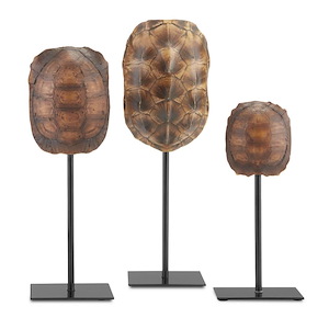 Turtle Shells - Sculpture (Set of 3)-13.25 Inches Tall and 4.25 Inches Wide