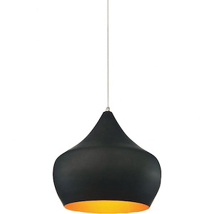 1 Light Chandelier with Black Finish
