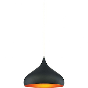 1 Light Chandelier with Black Finish