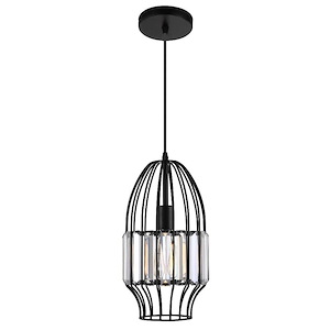 1 Light Mini Pendant with Black Finish