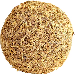 5 Inch small st. Augustine Filler