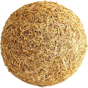 Medium st. Augustine Filler - 6.25 Inches Wide