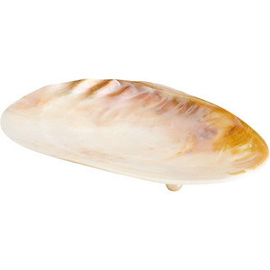Abalone - small Tray - 6 Inches Wide by 1.25 Inches High - 844119