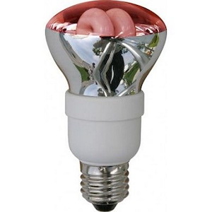 CFL Self Ballasted Lamp