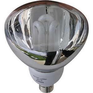 CFL Self Ballasted Lamp