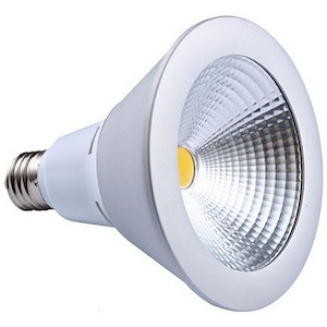 Accessory - 5 Inch 18W 2700K Par38 High Power Led Flood Replacemnet Lamp