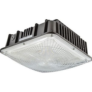 10.4 Inch 60W 1 Led Small Square Flush Mount