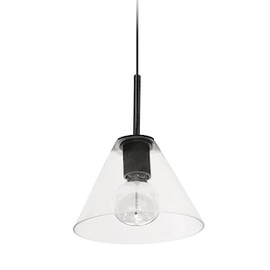 Roswell - 1 Light Pendant - 1052888