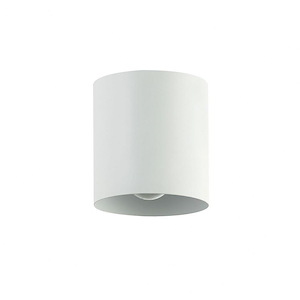 Theron - 1 Light Flush Mount - 1052897