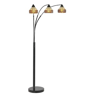 Sareena Arc - 3 Light Floor Lamp-79 Inches Tall and 24 Inches Wide