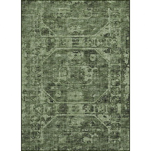 Aberdeen - Area Rug in Cactus Finish-Multiple Sizes - 1301317